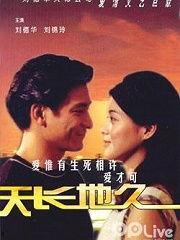 九九九九天长地久视频全集,穿越时空的永恒爱情传奇